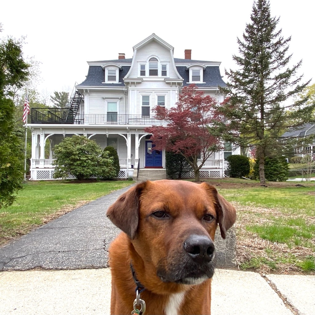 119 Pleasant St. Arlington