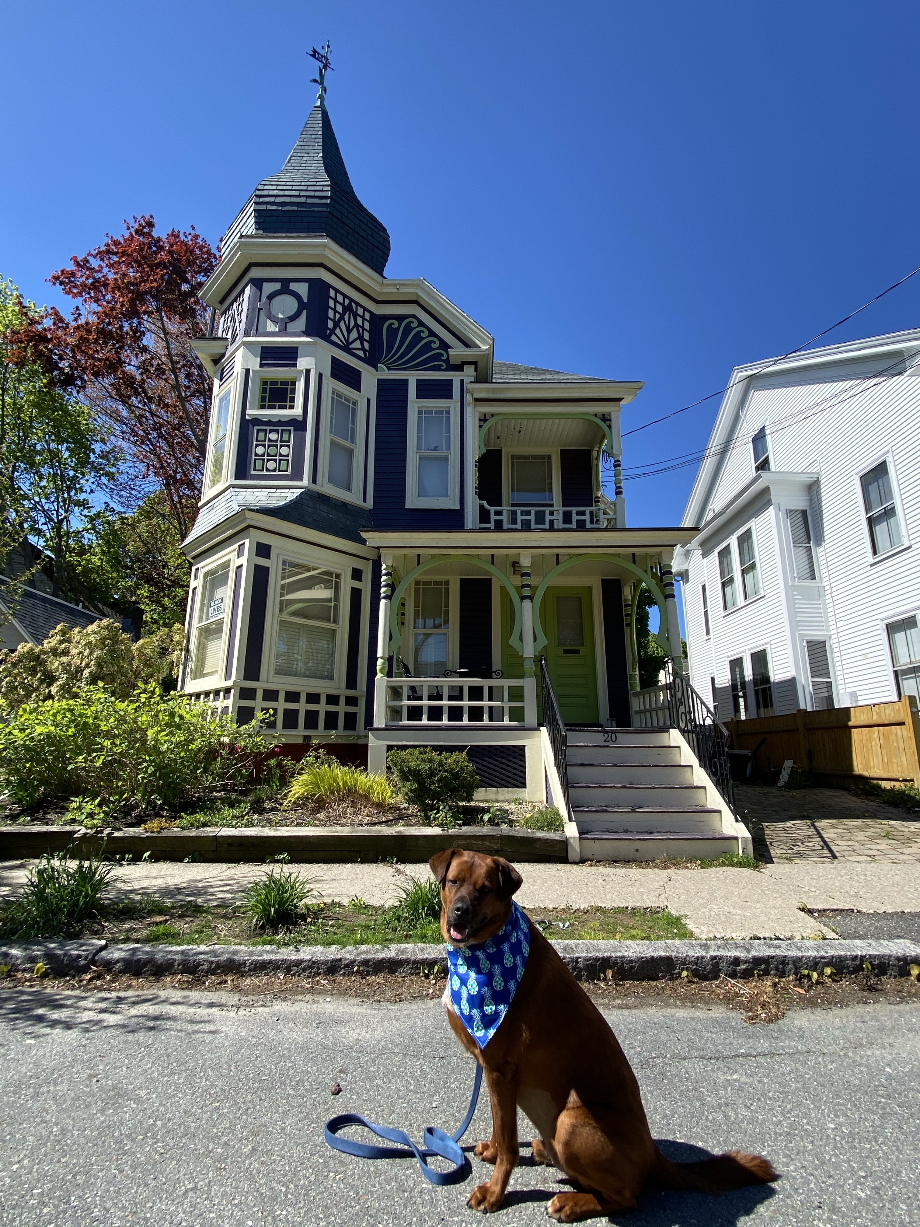 Henry T. Moody House – Walkies Through History