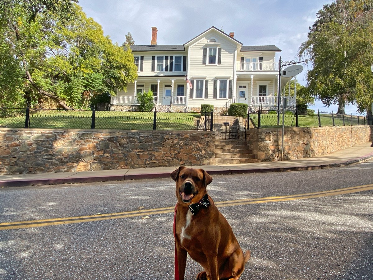 Brye House – Walkies Through History
