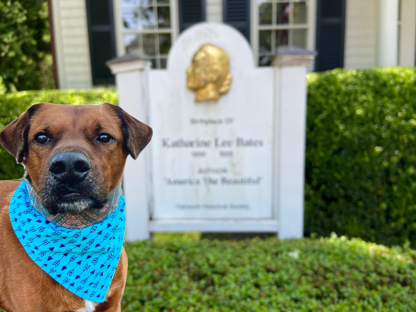 Katharine Lee Bates House Walkies Through History