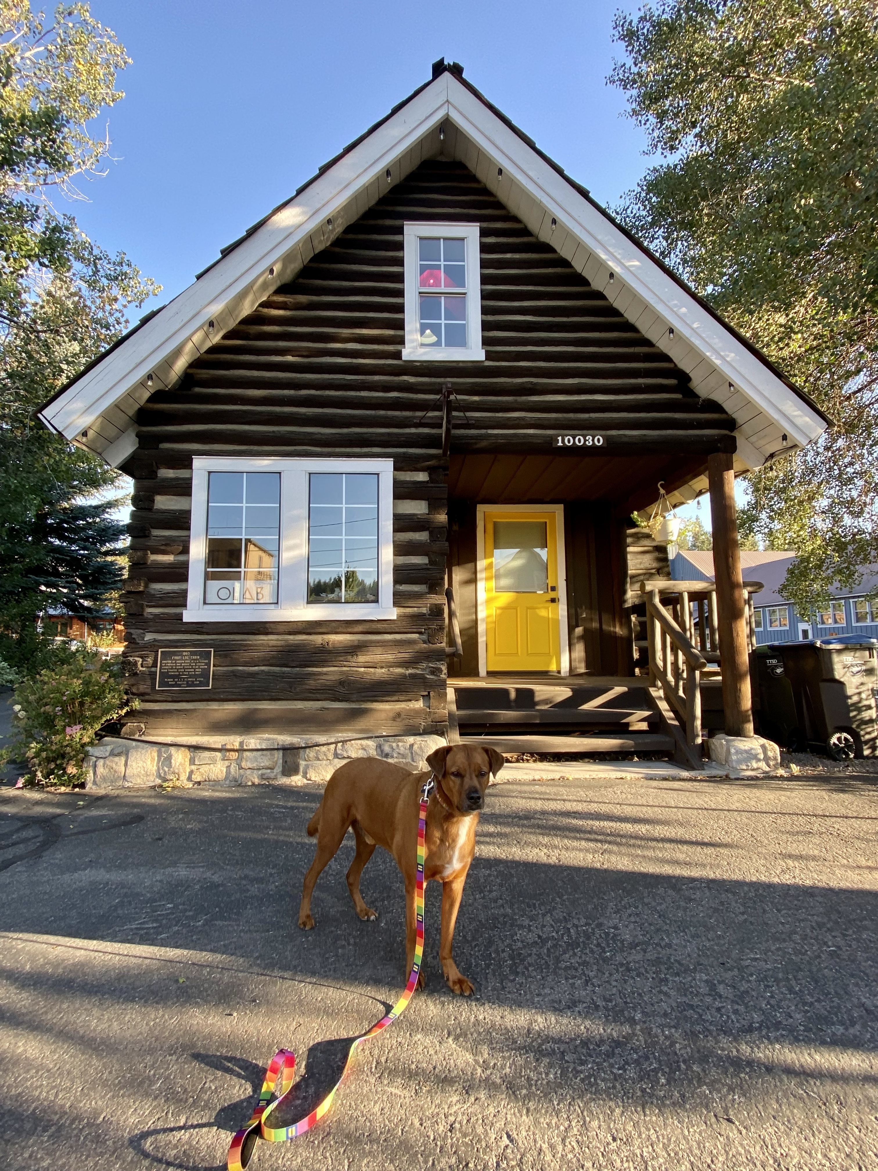 First Log Cabin – Walkies Through History