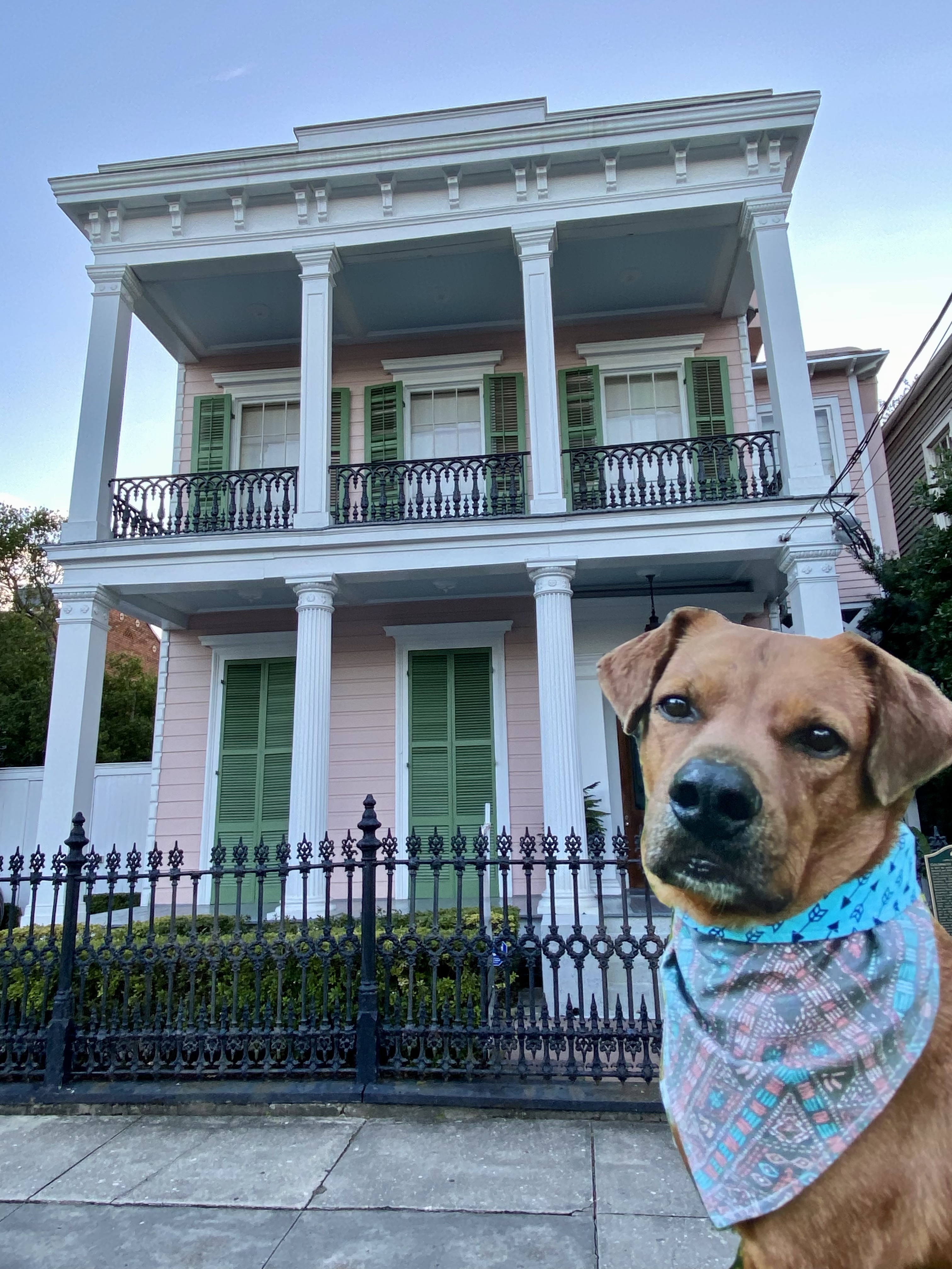 Goldsmith Godchaux House – Walkies Through History