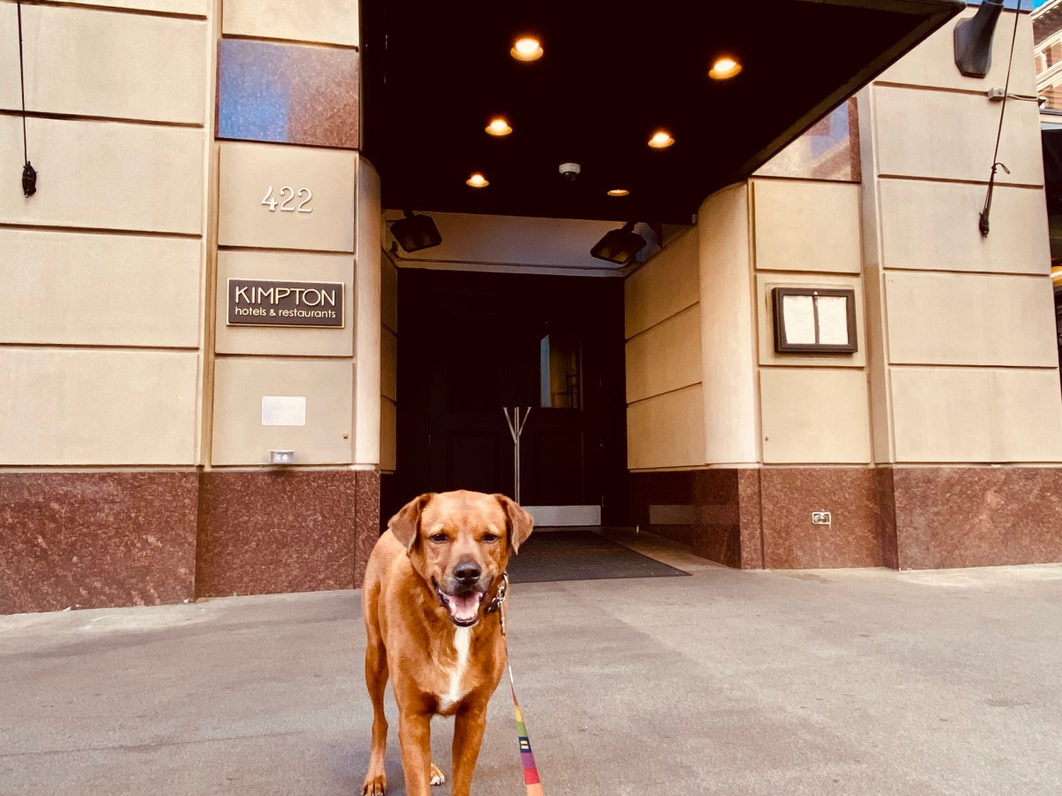 Imperial Hotel/Hotel Vintage